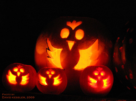 family of chicken pumpkins, by Laura Bassett