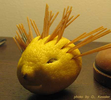 Lemon-o-Lantern, 2007
