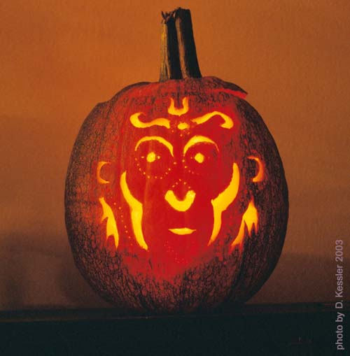 monkey king pumpkin, 2003